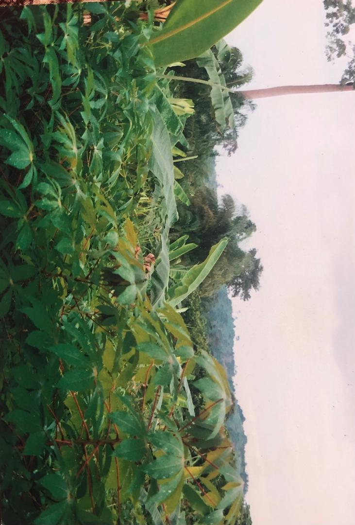 Aafanet Farmers at Adeiso in the Eastern Region.