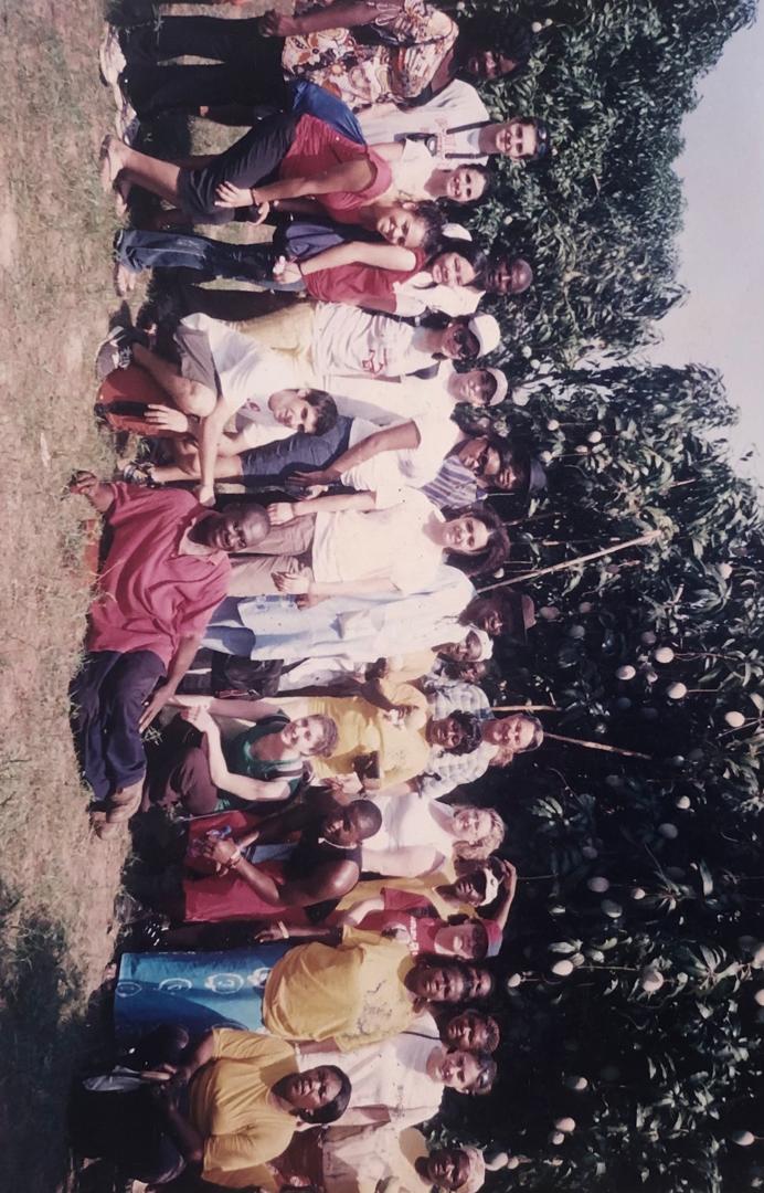 Mango plantation at Somanya E/R.